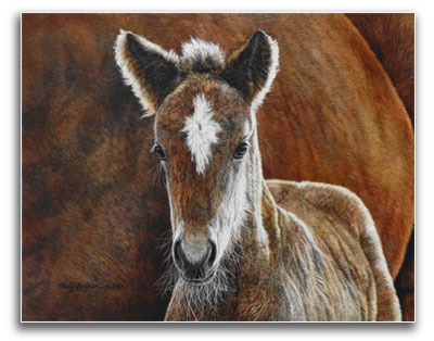 American Horse